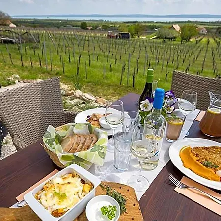 Birtok Royal Apartmanhaz Bed & Breakfast Tagyon