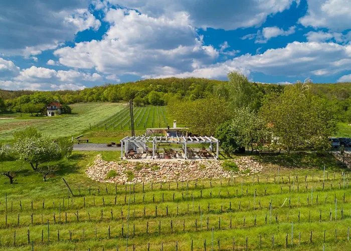 לינה וארוחת בוקר Birtok Royal Apartmanhaz